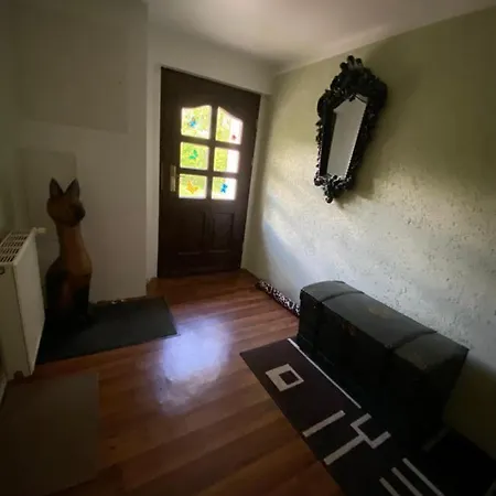 Piraten Oase * Tribohm