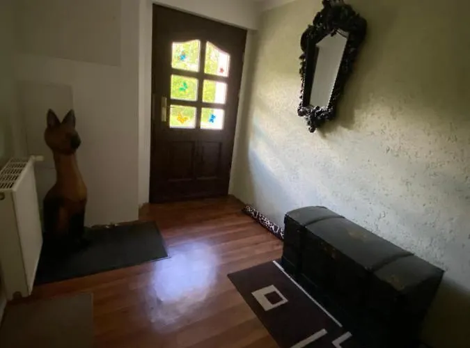 Piraten Oase * Tribohm